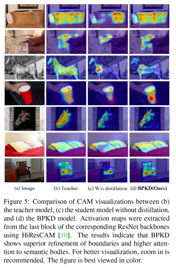 cam_viz